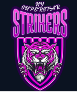 New York Superstar Strikers