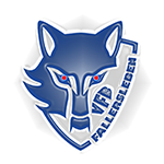 VFB Fallersleben